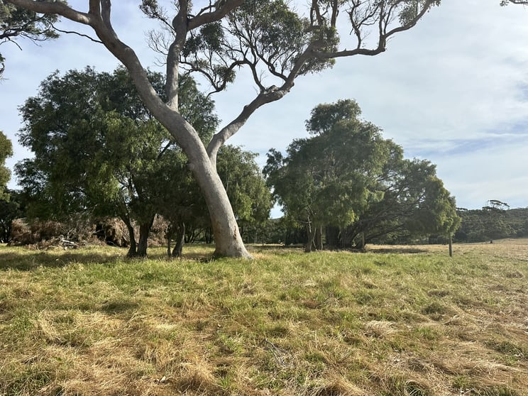 Lot 4 Caves Road Deepdene WA 6290 - Image 3
