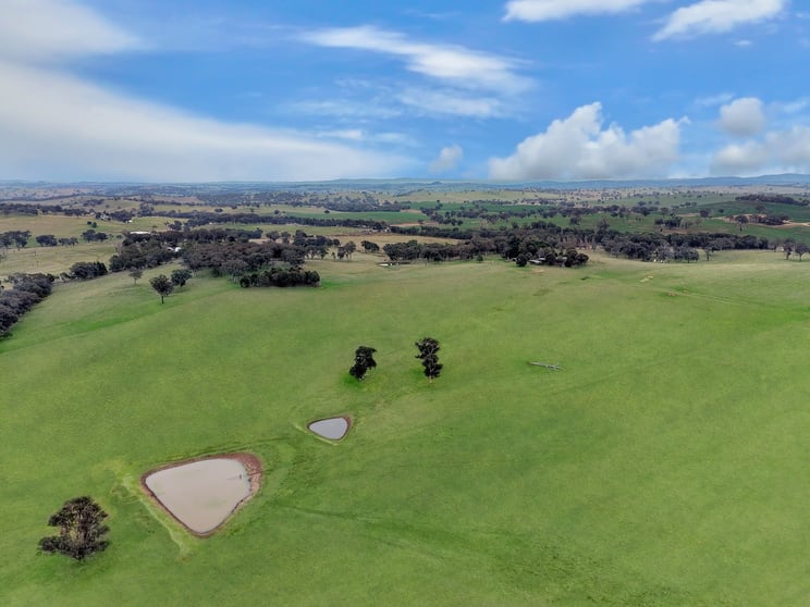 Click to view all images 21 Meadows Lane Lyndhurst NSW 2797 - Image 3