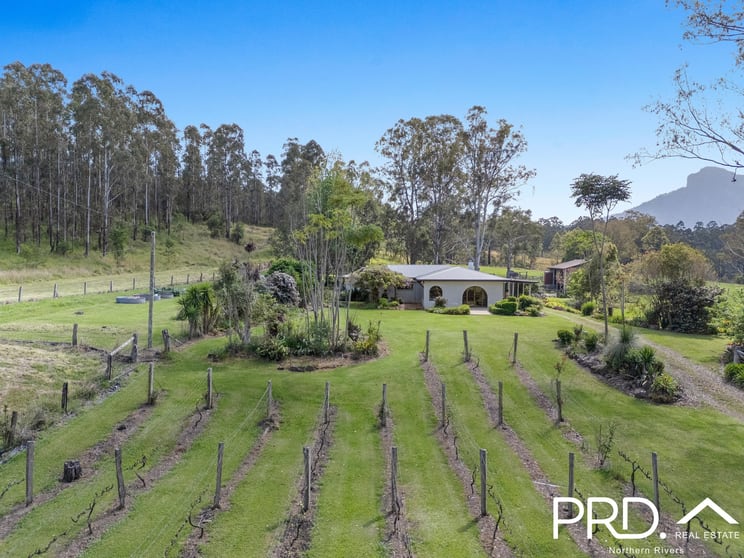 12 Burnetts Lane Dairy Flat NSW 2474 - Image 2