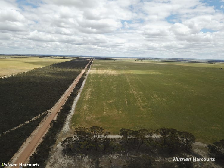 Click to view all images Lot 1798 Bowra Road Needilup WA 6336 - Image 2