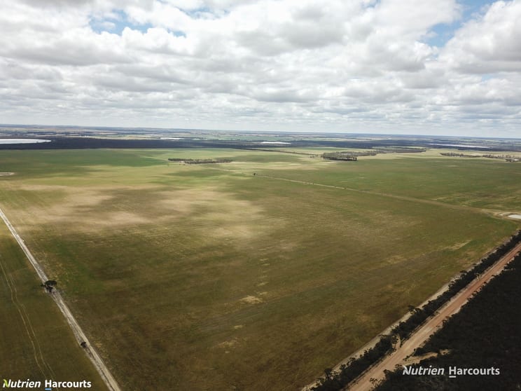 Click to view all images Lot 1798 Bowra Road Needilup WA 6336 - Image 3