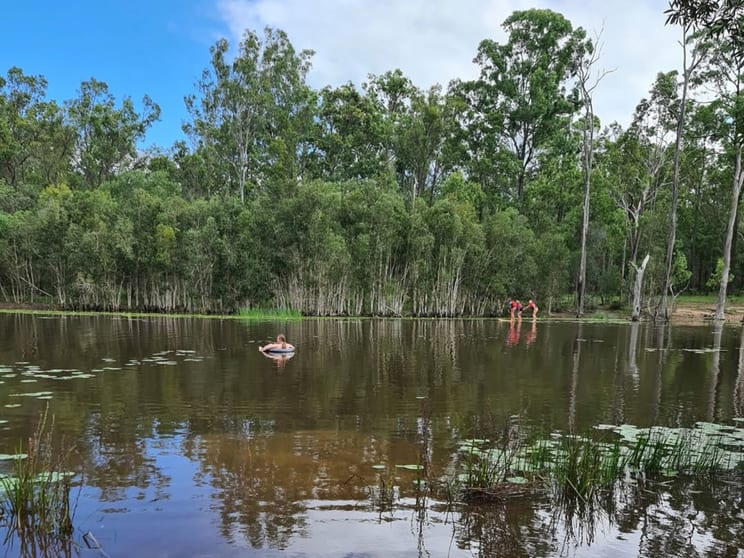 Click to view all images 130 Neill Rd Duckinwilla QLD 4650 - Image 1