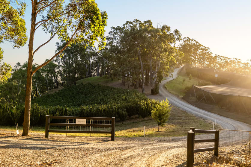 255 Harris Road Lenswood SA 5240 - Image 2
