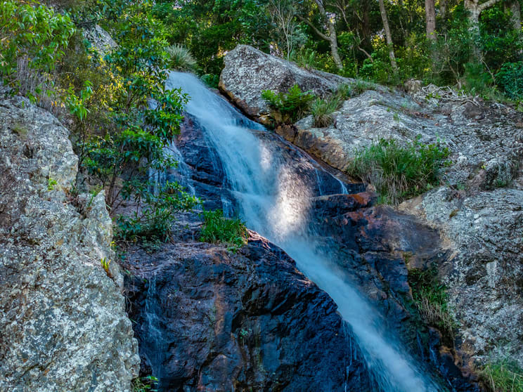 Click to view all images 98-196 Guanaba Road Tamborine Mountain QLD 4272 - Image 2
