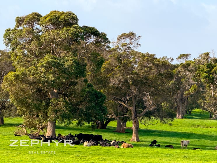 Click to view all images Mount Richard Road Nanarup WA 6330 - Image 3