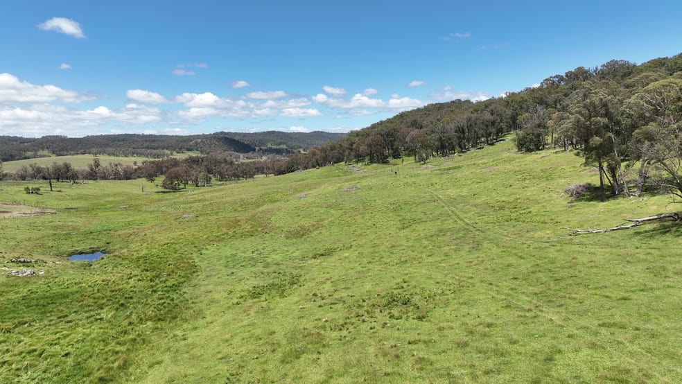 Click to view all images 4291 Pinkett Road Red Range NSW 2370 - Image 3