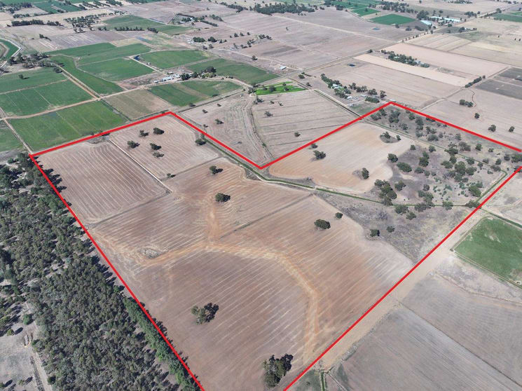 Lot 1 Whinfield Road Bamawm VIC 3561 - Image 3