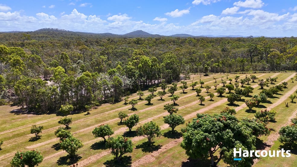 397 Capricornia Drive Deepwater QLD 4674 - Image 2