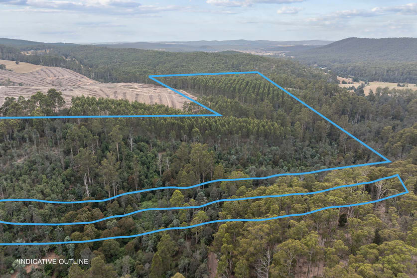 235 Butlers Road Lebrina TAS 7254 - Image 1