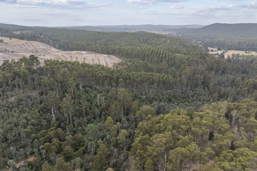 235 Butlers Road Lebrina TAS 7254 - Image 3