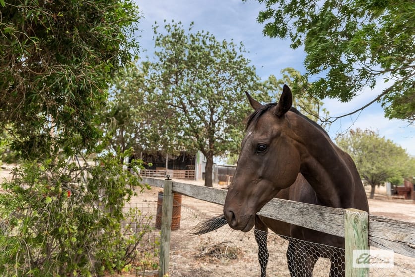 Click to view all images 1788 Heathcote-Redesdale Road Mia Mia VIC 3444 - Image 3