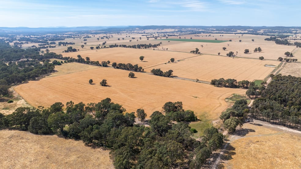 412 McPhersons Road Lilliput VIC 3682 - Image 3