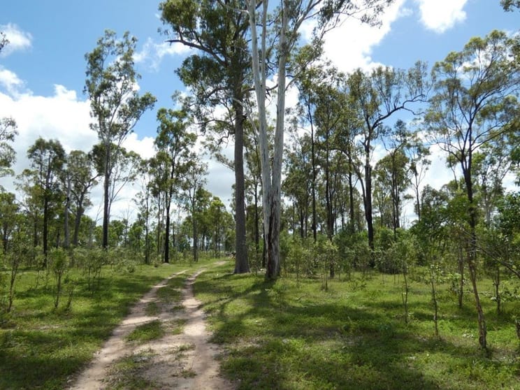 277 Bushlands Road Bororen QLD 4678 - Image 3