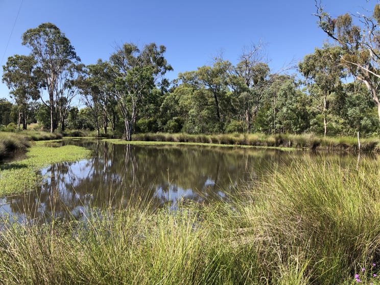 Click to view all images 329 Carbean Road Karara QLD 4352 - Image 1