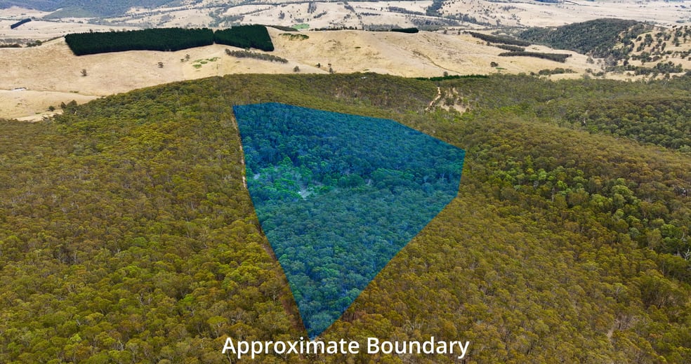Click to view all images 175 Kangaroo Track Omeo VIC 3898 - Image 3