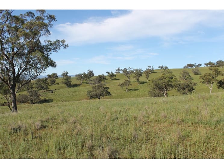 Click to view all images Golden Highway Cassilis NSW 2329 - Image 3