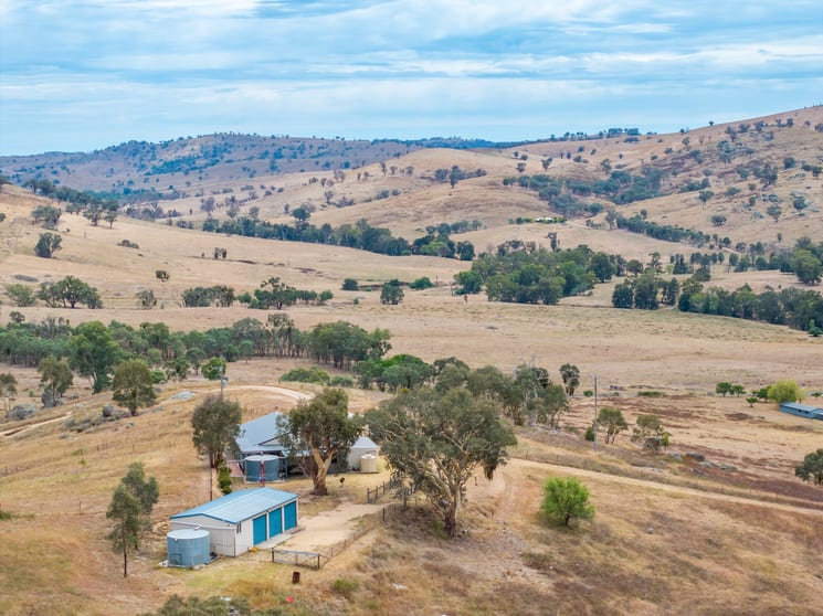 298 Mount Mcdonald Road Darbys Falls NSW 2793 - Image 1