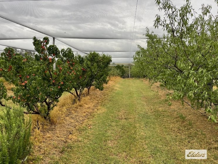 255 Red Hill Road Springdale QLD 4380 - Image 2