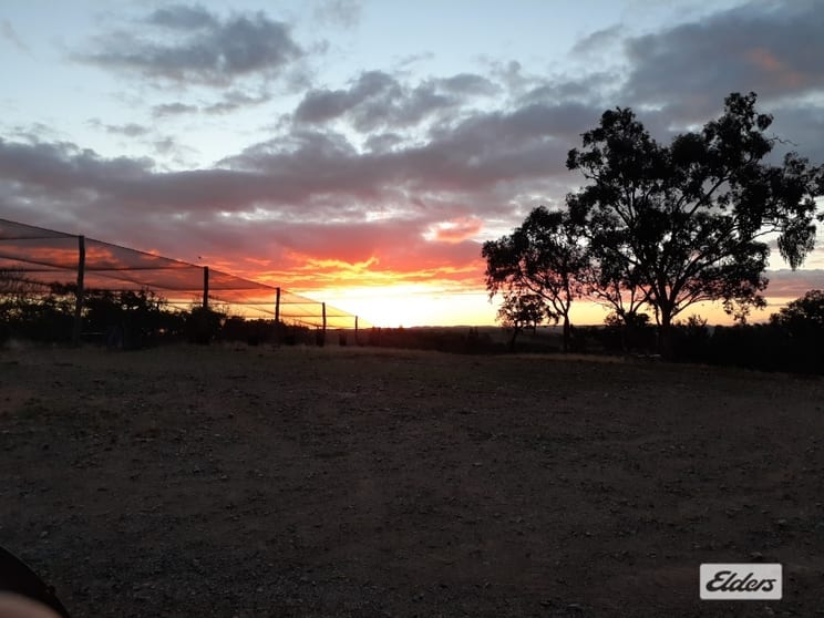 255 Red Hill Road Springdale QLD 4380 - Image 3