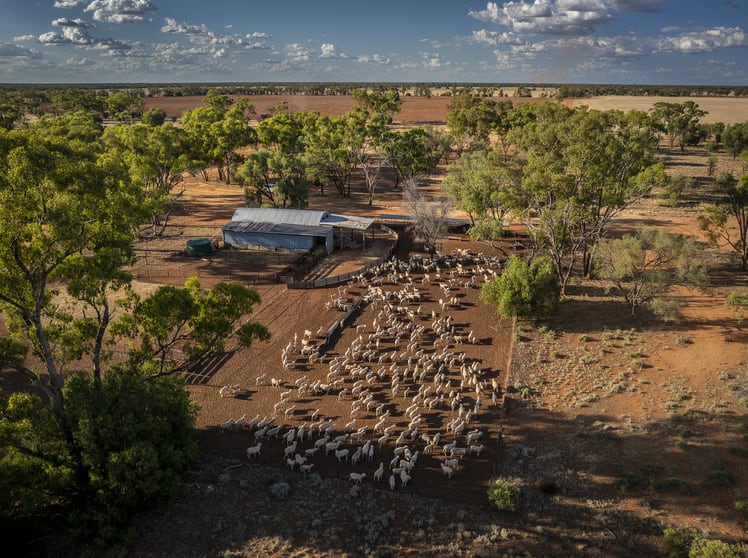 Click to view all images Rutherglen 181 Rutherglen Road Nyngan NSW 2825 - Image 3