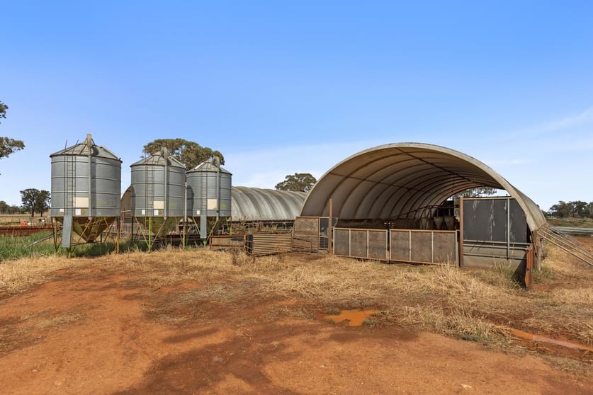 Click to view all images 289 Bundawarrah Road Temora NSW 2666 - Image 2