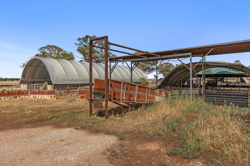 Click to view all images 289 Bundawarrah Road Temora NSW 2666 - Image 3