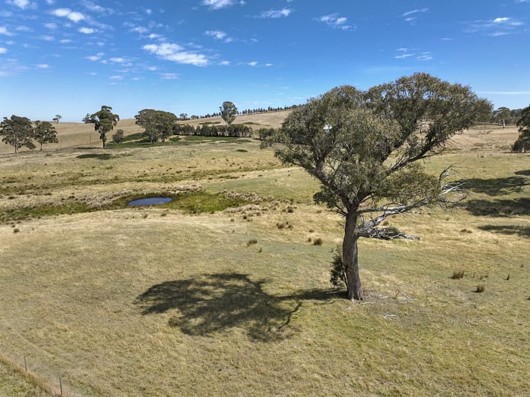 Click to view all images 755 Beaconsfield Road Oberon NSW 2787 - Image 3