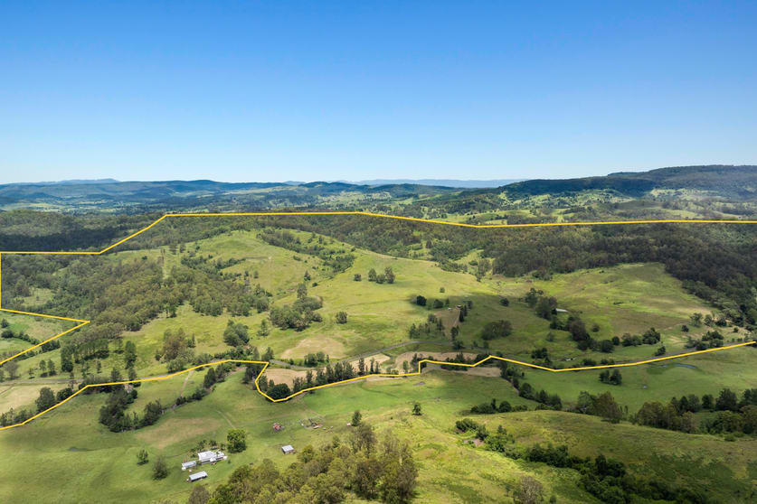 665 Theresa Creek Road Theresa Creek NSW 2469 - Image 2