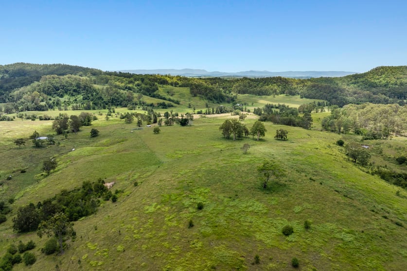 665 Theresa Creek Road Theresa Creek NSW 2469 - Image 3