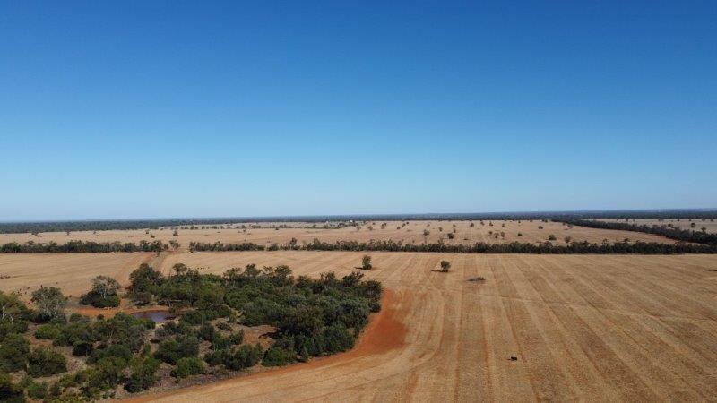 Click to view all images 1821 Gilgai Road Miandetta NSW 2825 - Image 2