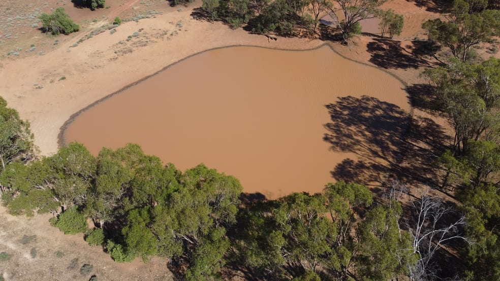 Click to view all images 1821 Gilgai Road Miandetta NSW 2825 - Image 3