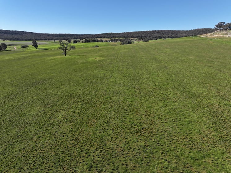 Click to view all images 'Yeronga' Piersons Road Mangoplah NSW 2652 - Image 2