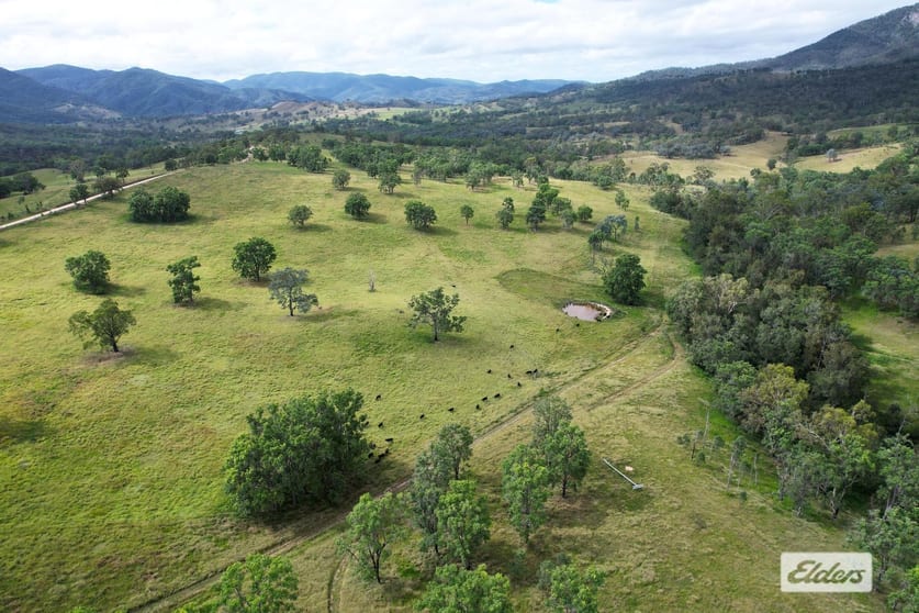 Click to view all images 10 Razorback Creek Road Rivertree NSW 2372 - Image 1