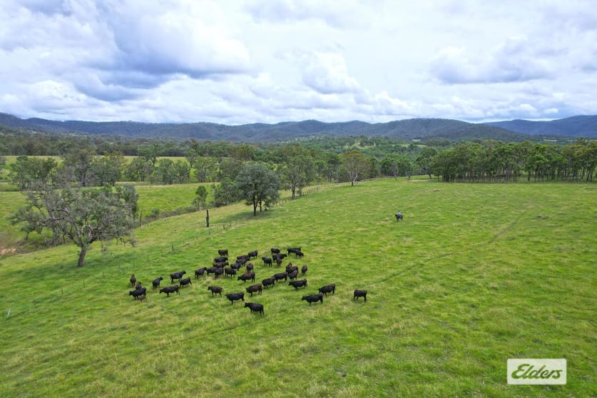 Click to view all images 10 Razorback Creek Road Rivertree NSW 2372 - Image 3