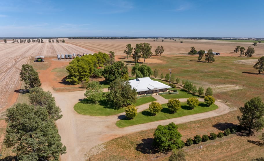 Click to view all images 469 Brushwood Road Currawarna NSW 2650 - Image 1