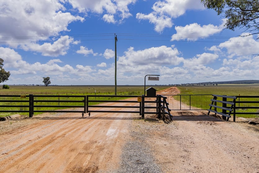 869 Newell Highway Narrandera NSW 2700 - Image 2