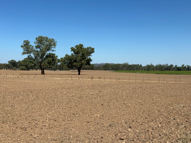 Click to view all images 137 Fletchers Lane Wagga Wagga NSW 2650 - Image 2