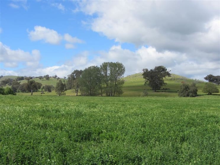 248 Sheans Creek Road Sheans Creek VIC 3666 - Image 2