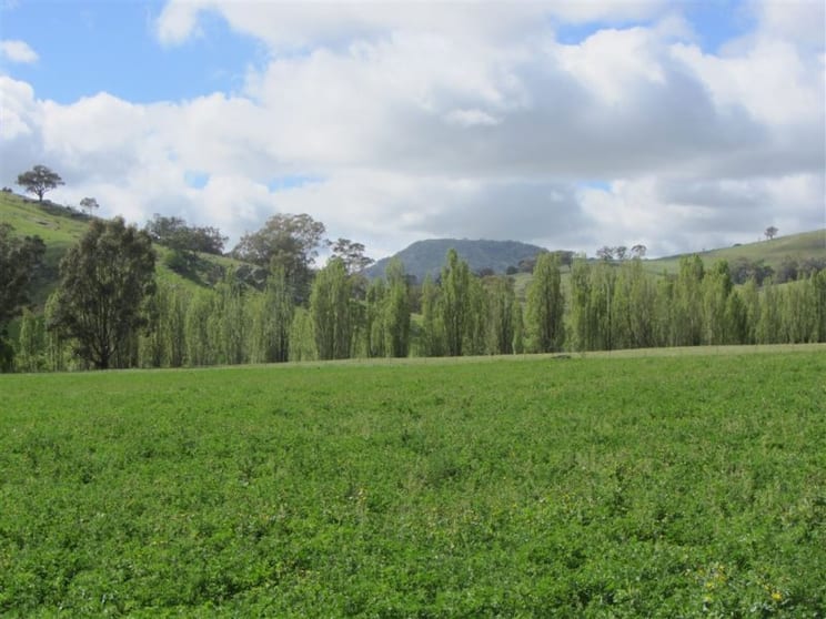 248 Sheans Creek Road Sheans Creek VIC 3666 - Image 3