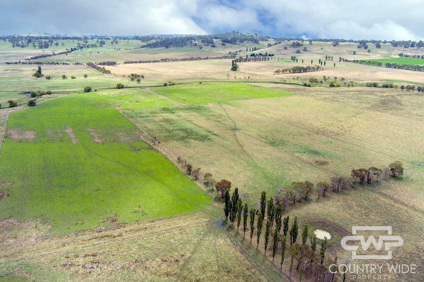 Click to view all images 638 Furracabad Road Glen Innes NSW 2370 - Image 3