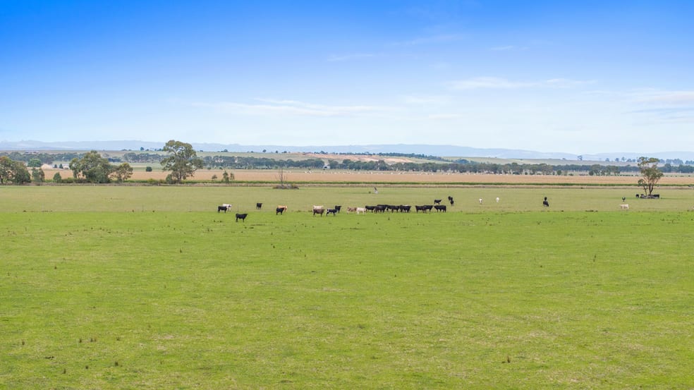 2/ Denison Road Nambrok VIC 3847 - Image 2