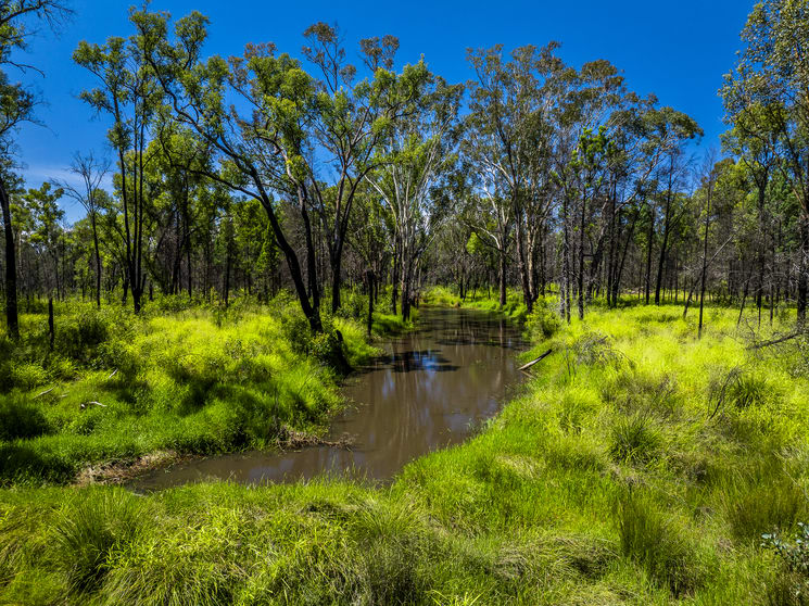 Click to view all images Tara QLD 4421 - Image 2