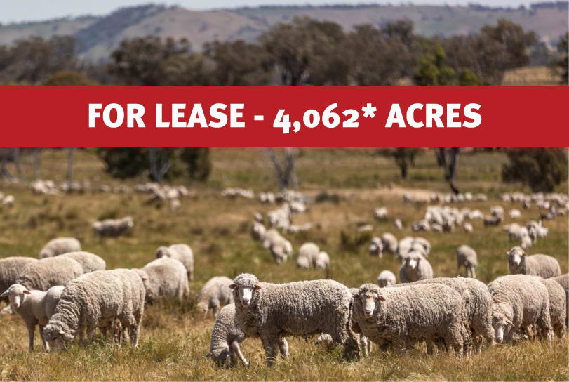 Click to view all images Bogolara Road Jugiong NSW 2726 - Image 1