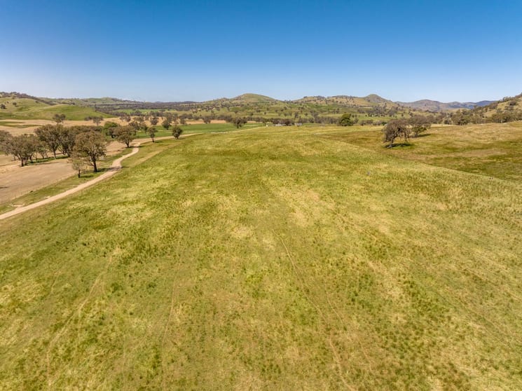 Click to view all images Bogolara Road Jugiong NSW 2726 - Image 2