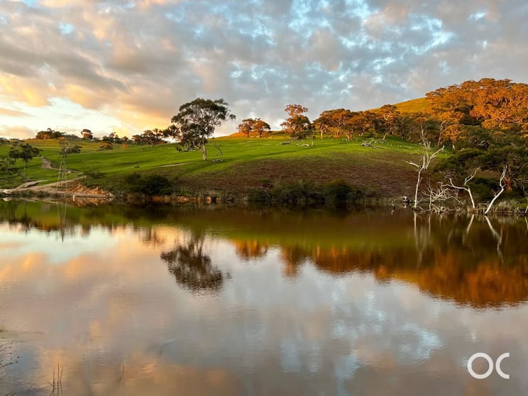 Click to view all images 18 Mount Robinson Road Torrens Vale SA 5203 - Image 3