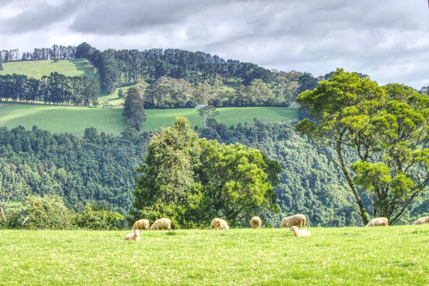 Click to view all images Dorrigo NSW 2453 - Image 2