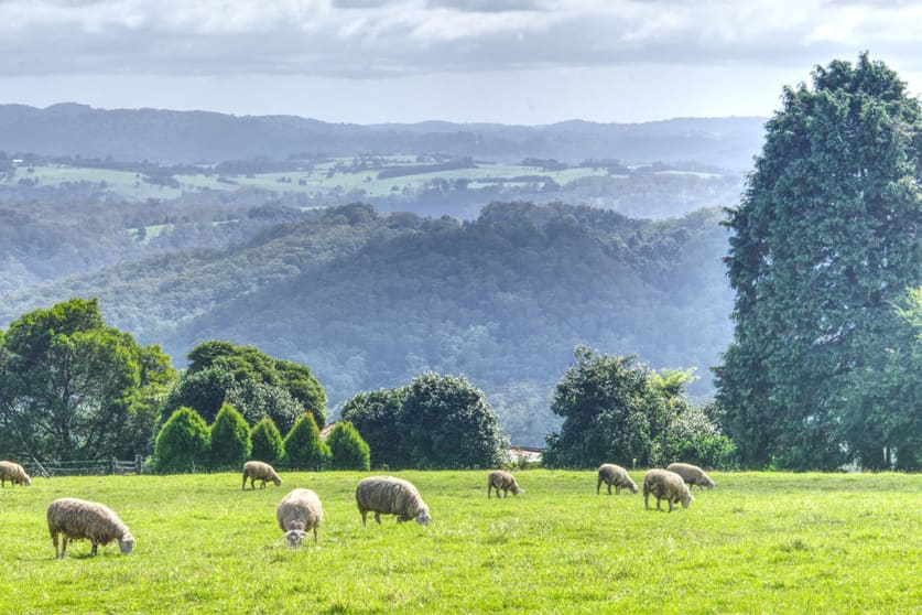 Click to view all images Dorrigo NSW 2453 - Image 3