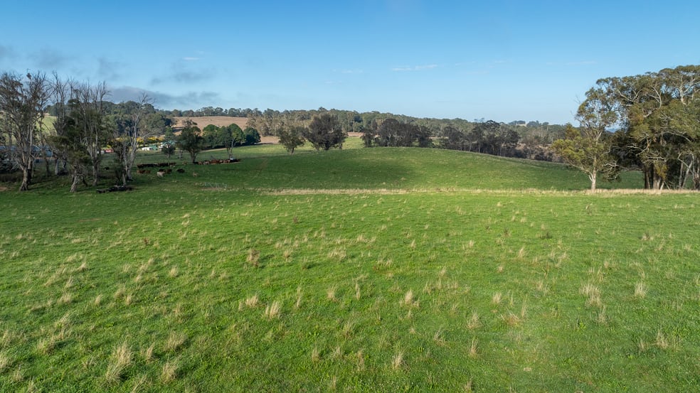 1853 Nowendoc Road Niangala NSW 2354 - Image 2
