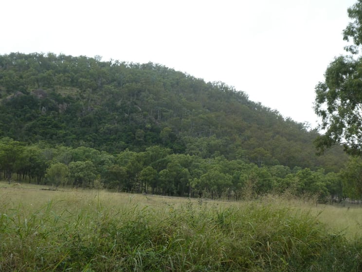 Lot 104 Cockings Road Dundarrah QLD 4625 - Image 1