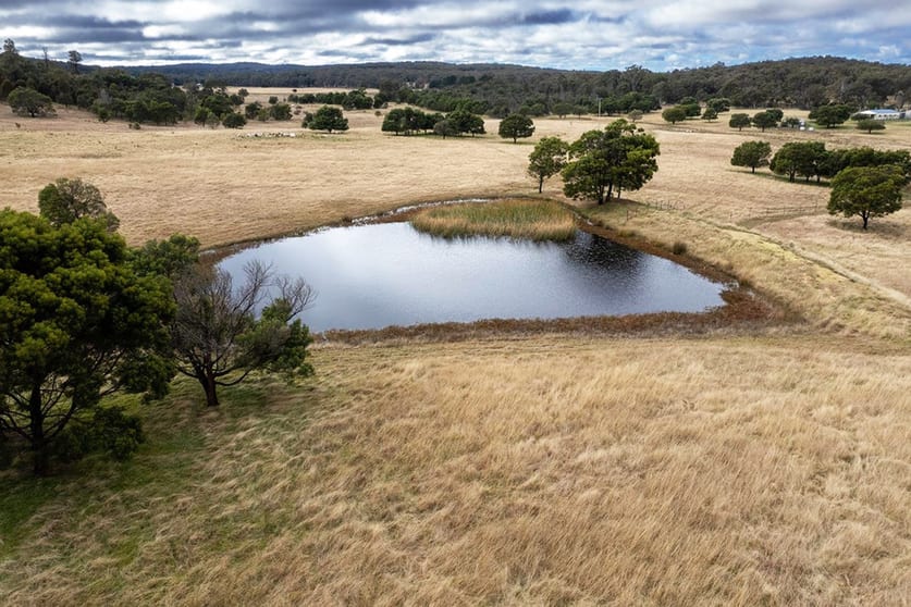 508 Dewsburys Lane Lake Bathurst NSW 2580 - Image 3